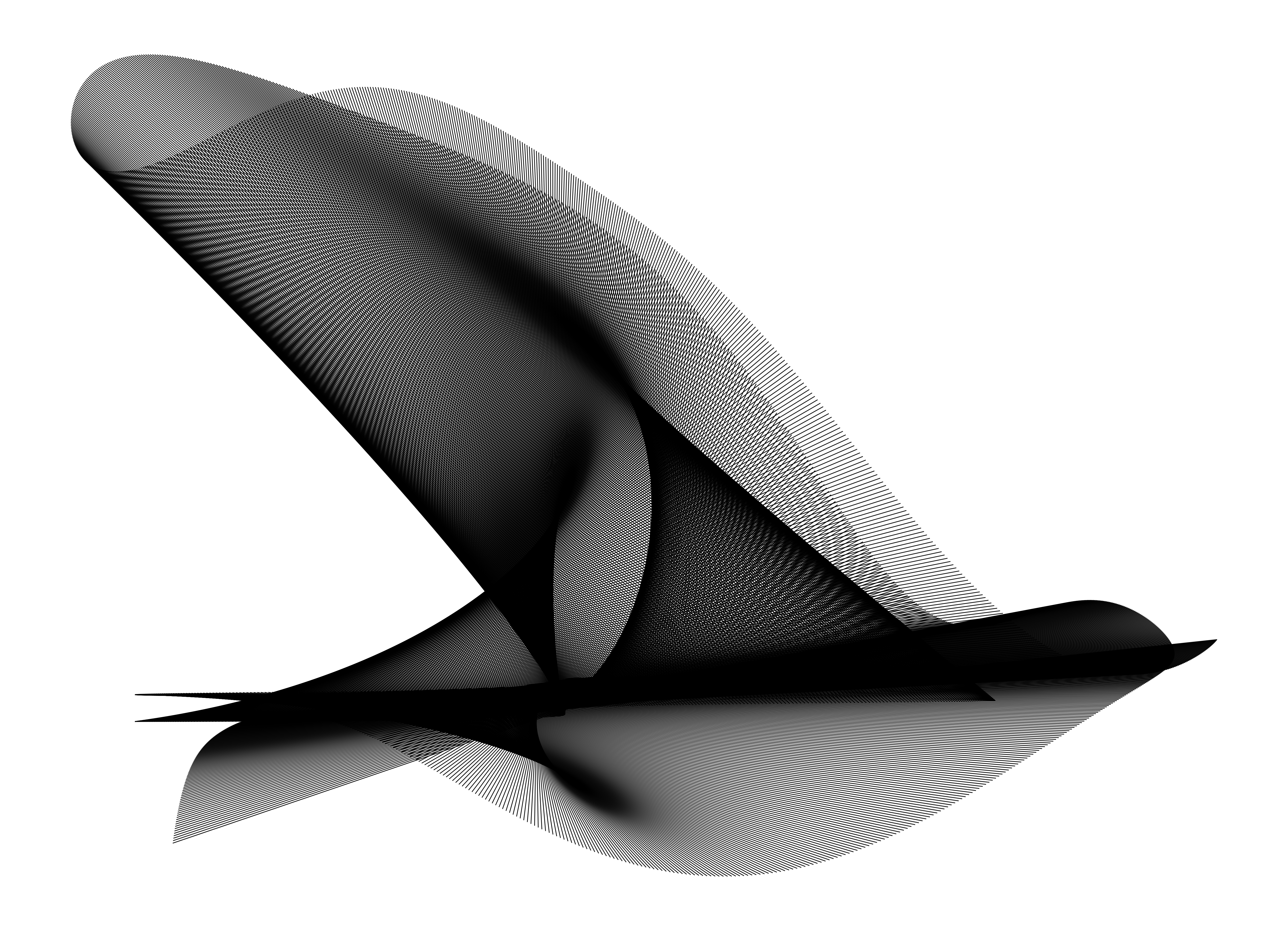 High-resolution line-art diagram resembling a flying bird
