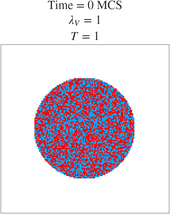 t=0 MCS