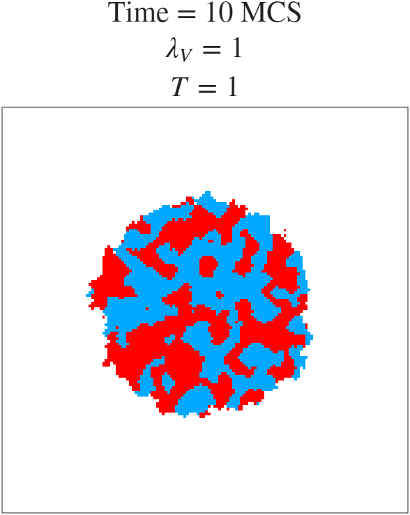 t=10 MCS
