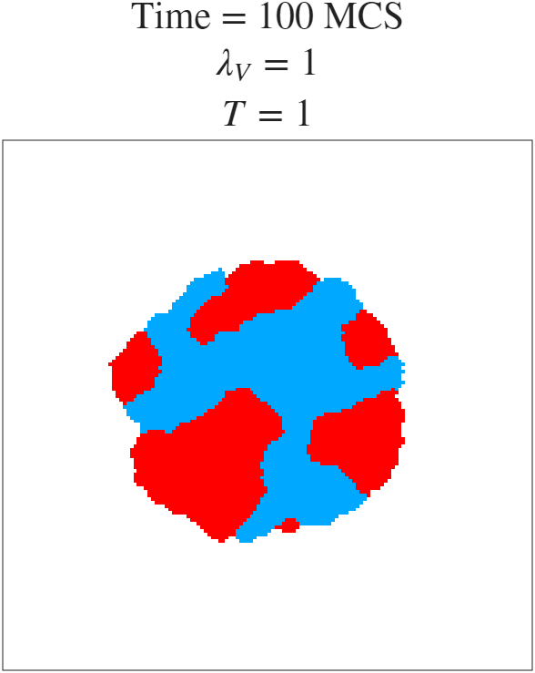 t=100 MCS