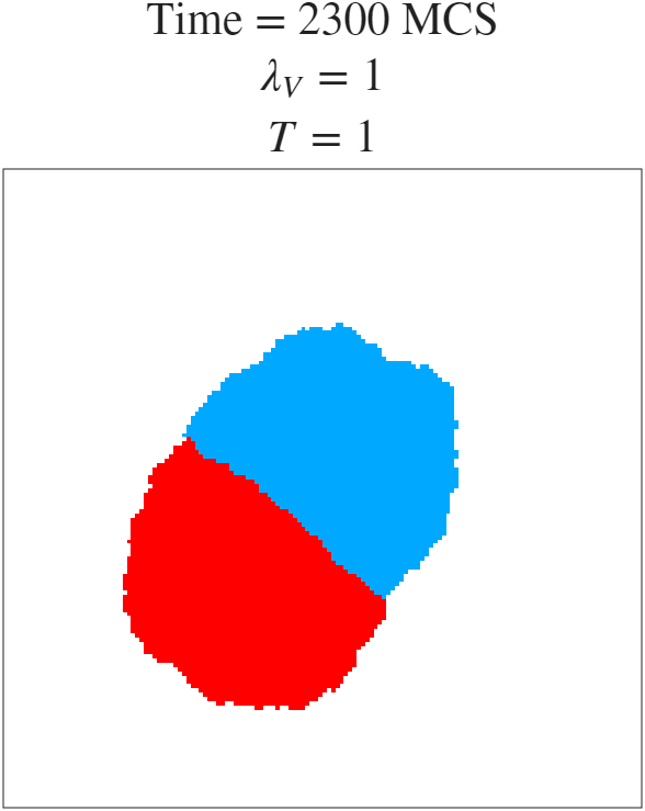t=2300 MCS