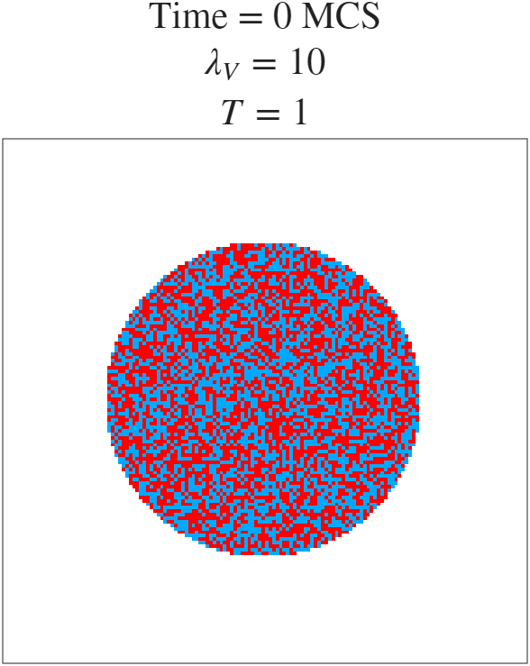 t=0 MCS