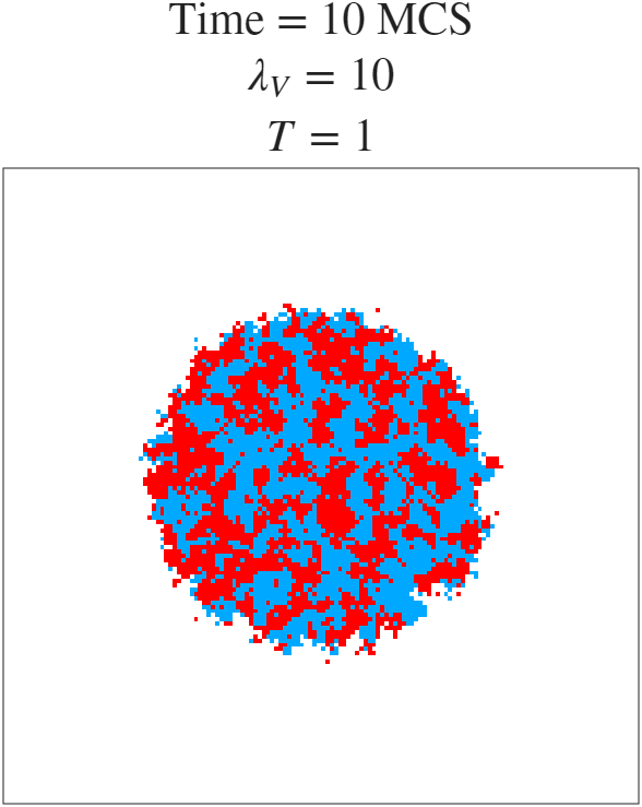 t=10 MCS
