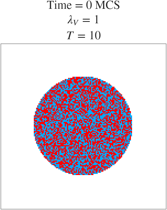 t=0 MCS