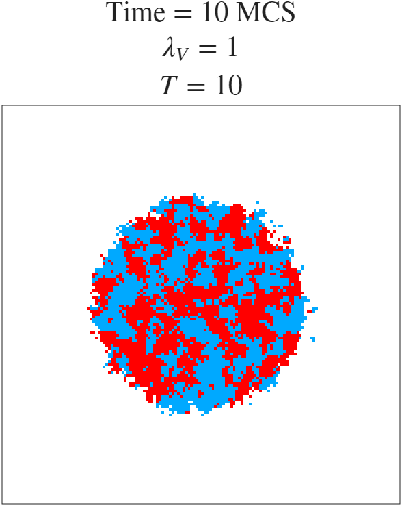 t=10 MCS