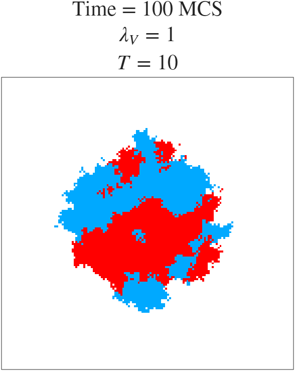 t=100 MCS
