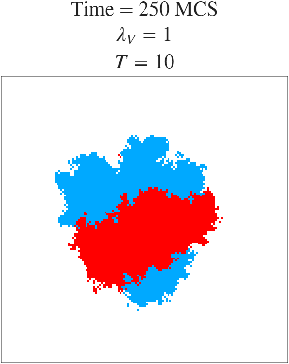 t=250 MCS