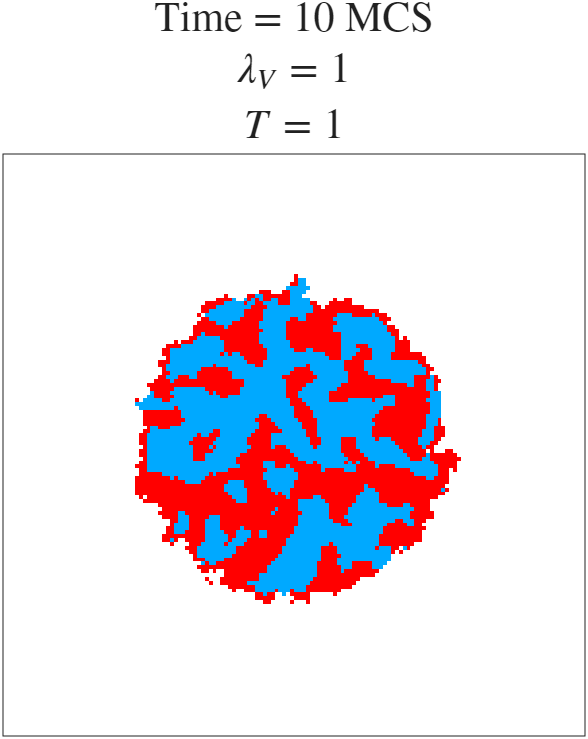 t=10 MCS