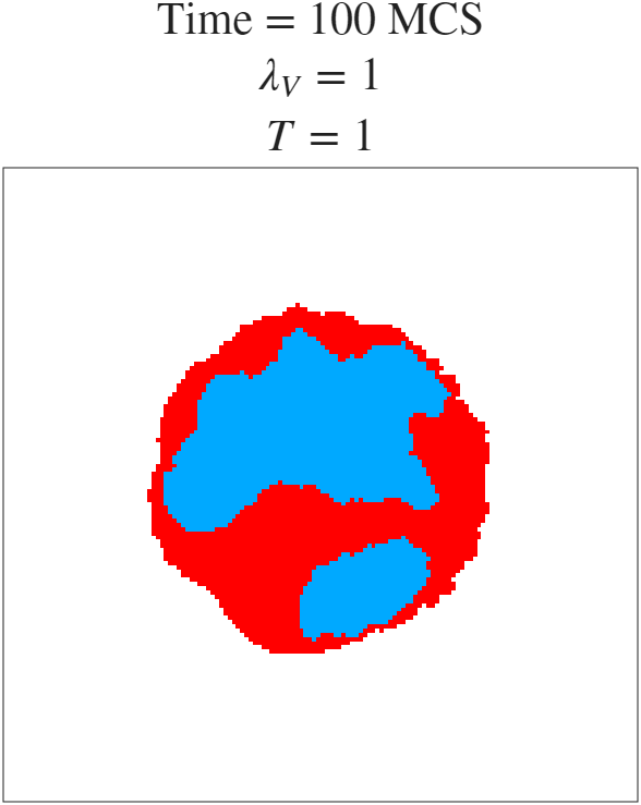 t=100 MCS