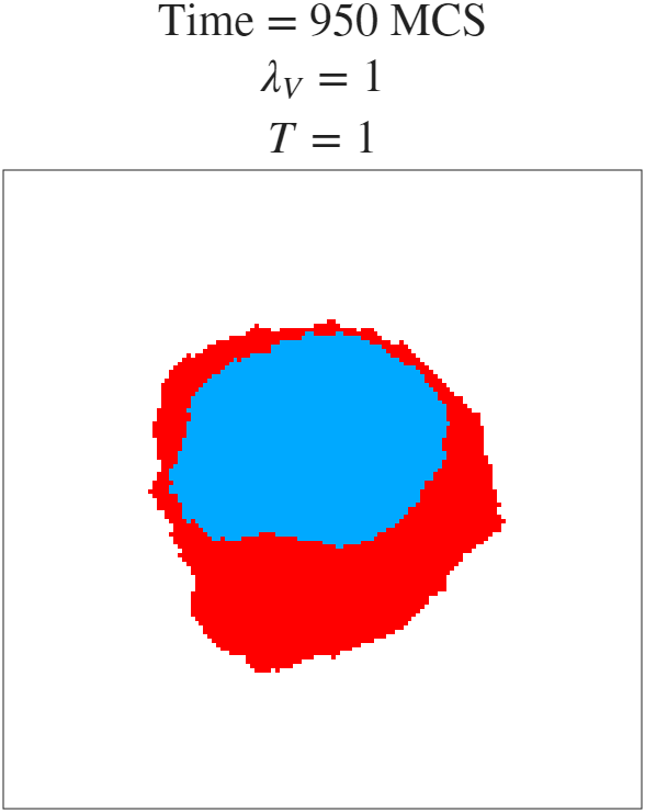 t=950 MCS