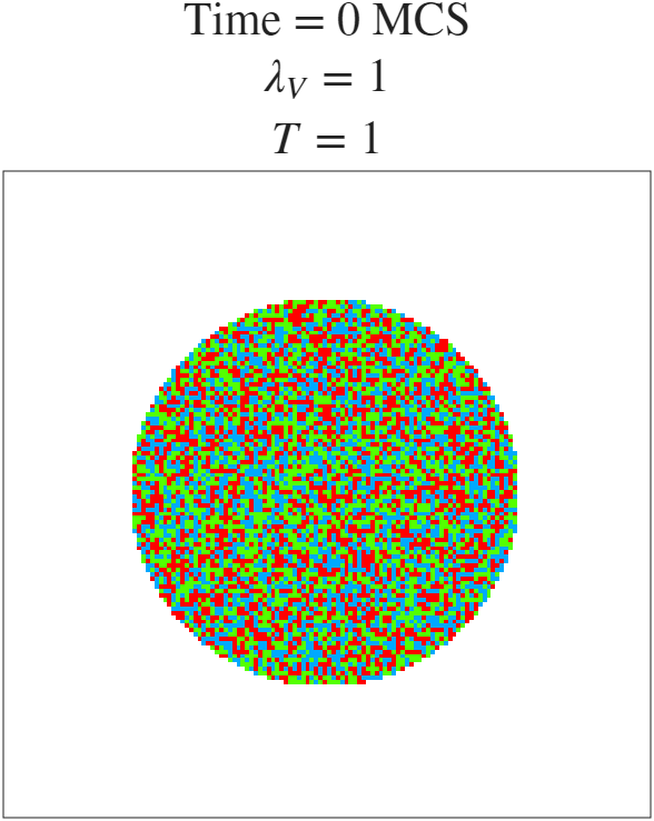 t=0 MCS
