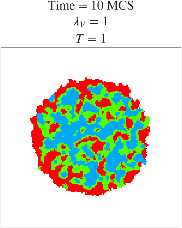t=10 MCS