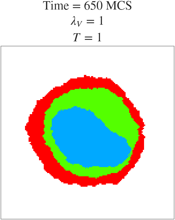 t=650 MCS